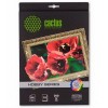 Холст Cactus (CS-CA426010) A4 300 г/м2 хлопок, 10 листов