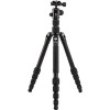 Трипод Benro FTR09AB00GBLK