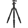 Трипод Benro FTR19AB0GBLK