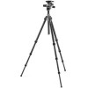 Трипод Gitzo GK2542-F3W