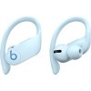 Наушники Beats Powerbeats Pro (снежно-голубой)