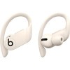 Наушники Beats Powerbeats Pro (слоновая кость)