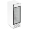 Торговый холодильник Frostor RV300GL Pro