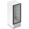 Торговый холодильник Frostor RV300G Pro